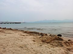 -深圳湾公园(南山区)