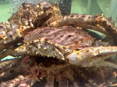 -万龙洲海鲜(大兴绿地缤纷城店)