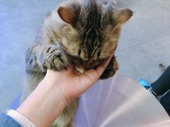 -极木²邸 人与宠物·互动社区
