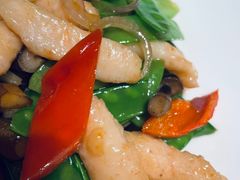 云南鸡枞菌小炒鲜虾滑-觅唐MITONG(鸟巢店)