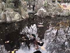 -山东大学(趵突泉校区)