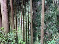 -九峰山