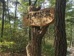 -燕窝岭