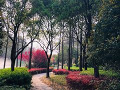 -新江湾城公园