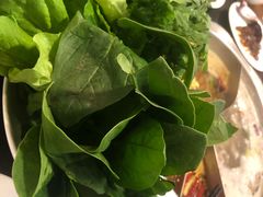 -满禾林火锅(丹东路店)