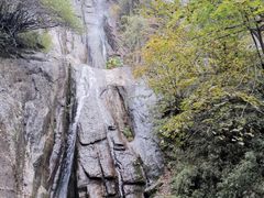 -王顺山国家森林公园