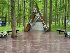 -黄海国家森林公园