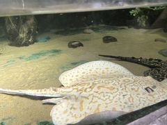 -重庆欢乐海底世界