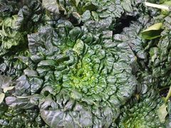 -敖家巷羊肉汤(瑞尔戴斯店)