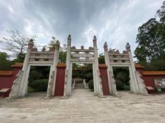 -三水森林公园