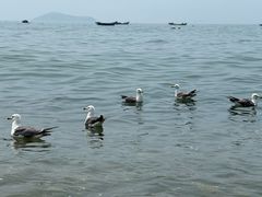 -银沙滩浴场