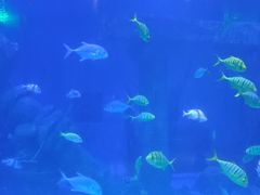 -乌鲁木齐海洋馆
