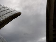 -威勒比开放式动物园