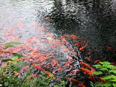 -五泄景区