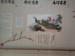 -朗诗常青藤养老(五马渡店)