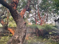 -Chom Cafe and Restaurant