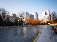 -团结湖公园