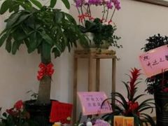 -六艺琴馆钢琴·古筝·古琴·琵琶