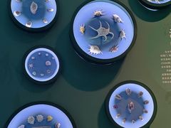 -中国湿地博物馆