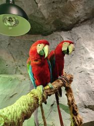 -Zoolung Zoolung动物主题公园(海信广场店)