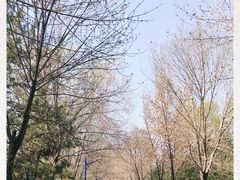 -森林公园(尖草坪区)