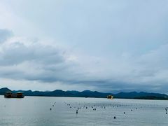 -知味观(湖滨总店)