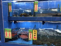水产区-厨房好味(国贸店)