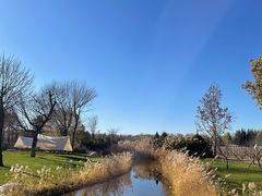 -安德鲁户外烧烤帐篷营地(马泉营店)