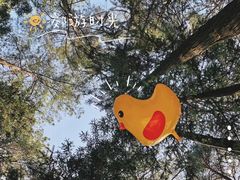 -重庆睡佛山森林公园