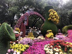 -杭州植物园