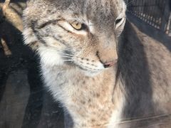 -石家庄市动物园