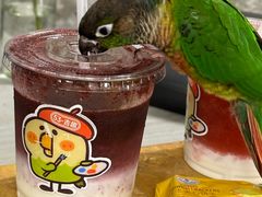 -吾叁·吉趣鸟咖(万科店)