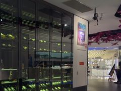 -大董(环贸iapm店)