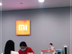 -小米之家(东方宝泰购物中心店)