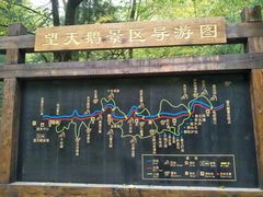 -望天鹅景区