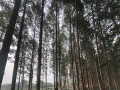 -云龙山