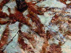 -怀德酒楼·粤菜·海鲜·茶点(宝安国际机场店)