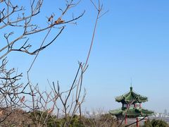 -北京西山国家森林公园