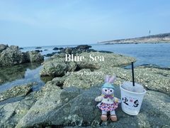 -海岛日记(养马岛店)