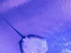 -哈尔滨波塞冬海底世界
