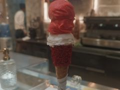 覆盆子冰淇淋-VENCHI 闻绮(北京国贸商城店)