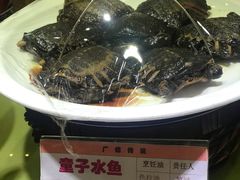 -广信传说