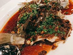 石斑鱼-三号黄浦会Canton Table