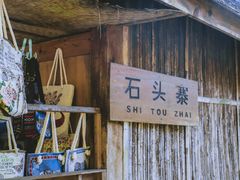 -西双版纳原始森林公园