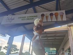 -Dooley's Premium Ice Cream