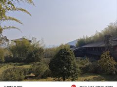 -大唐贡茶院