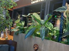 -同仁四季椰子鸡(宝安壹方城店)