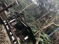 -宁海森林温泉