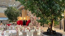 -北京燕尔婚礼策划