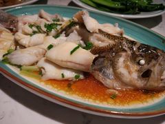 功夫鲈鱼-大榕树下顺德菜(融创茂店)